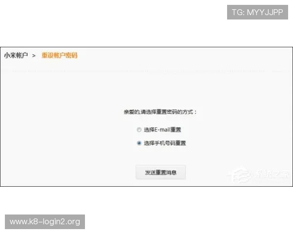 凯发登录入口忘记密码导致无法登录，解决方法和预防措施详解